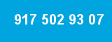 917 502 93 07 917 502 93 07